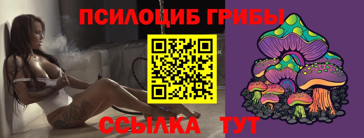 Галлюциногенные грибы мухоморы Кировск