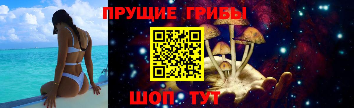Галлюциногенные грибы Psilocybe  Вход с VPN  Кировск 